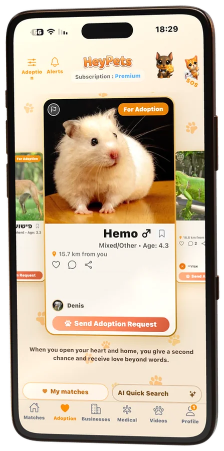 The HeyPets adoption screen: a hamster’s card with breed, age and distance