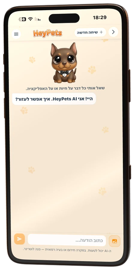 צ׳אט עם HeyPets AI