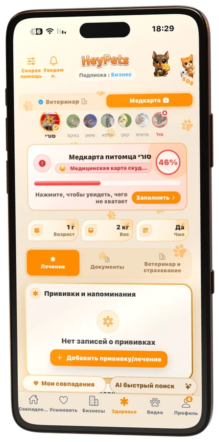 Медкарта питомца со шкалой заполнения